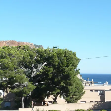 Le Camelia Appartement