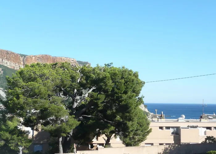 Le Camelia Apartament