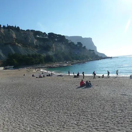 Le Camelia Appartement *